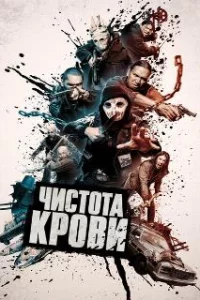  Чистота крови 