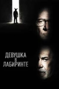  Девушка в лабиринте 