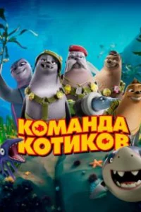  Команда котиков 