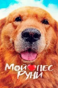  Мой пёс Руни 