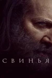  Свинья 