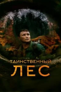  Таинственный лес 