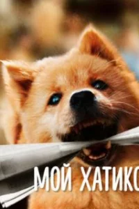  Мой Хатико 