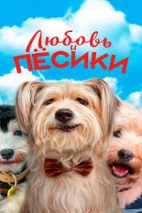  Любовь и пёсики 