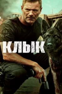  Клык 