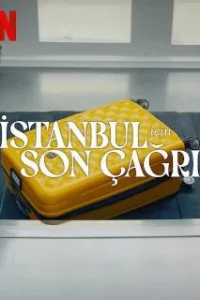  Заканчивается посадка на рейс в Стамбул 