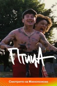  Птица 