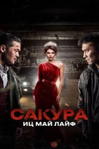  Сакура 