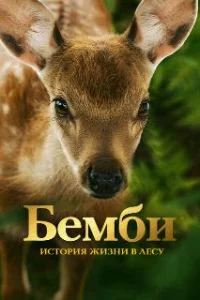  Бемби. История жизни в лесу 